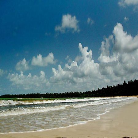 Alvorada No Morro Flat Terceira Praia Morro de São Paulo Eksteriør bilde