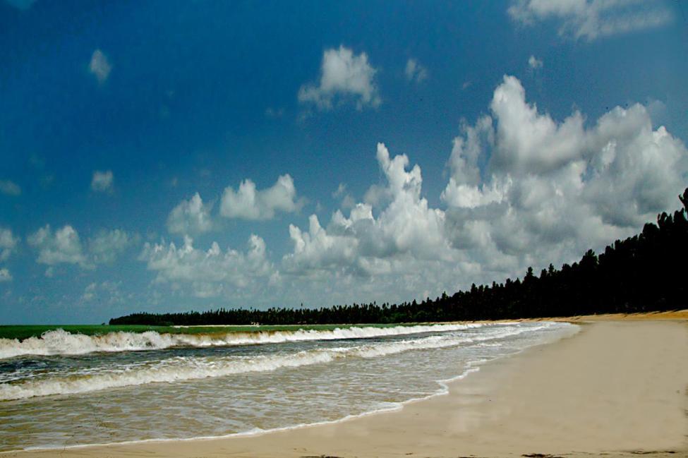 Alvorada No Morro Flat Terceira Praia Morro de São Paulo Eksteriør bilde